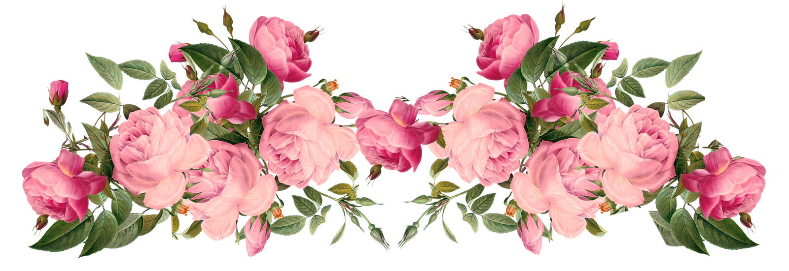 51f0e0dd37fd6c21cda42d81ab224c02